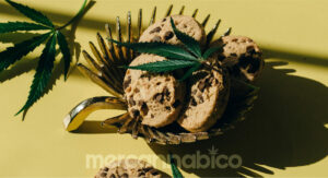Comestibles de Cannabis y CBD