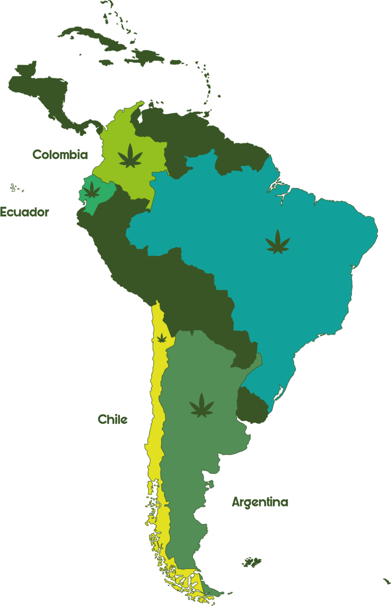 https://mercannabico.com/invertir-en-cannabis/
