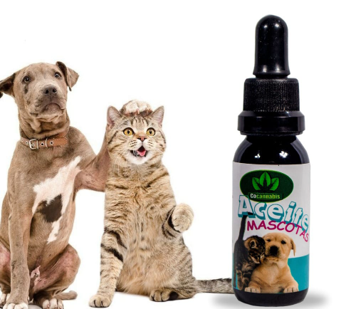 ACEITE CBD PET